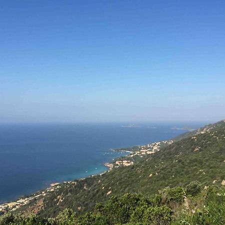 Ajaccio Magnifique T2 Neuf 40M2 Avec Balcon Au Trottel 4 Couchages Wifi Clim Parking Plage A Pieds 100M Buitenkant foto