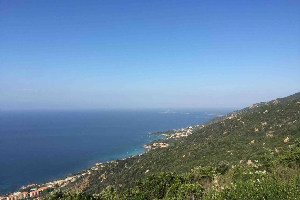 Ajaccio Magnifique T2 Neuf 40M2 Avec Balcon Au Trottel 4 Couchages Wifi Clim Parking Plage A Pieds 100M Buitenkant foto