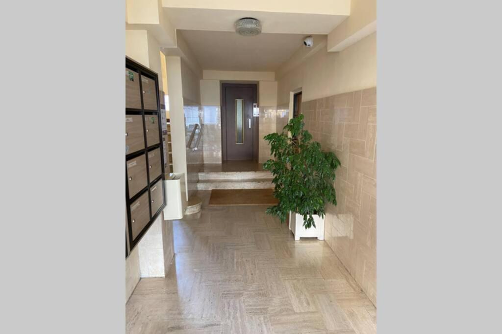 Ajaccio Magnifique T2 Neuf 40M2 Avec Balcon Au Trottel 4 Couchages Wifi Clim Parking Plage A Pieds 100M Buitenkant foto
