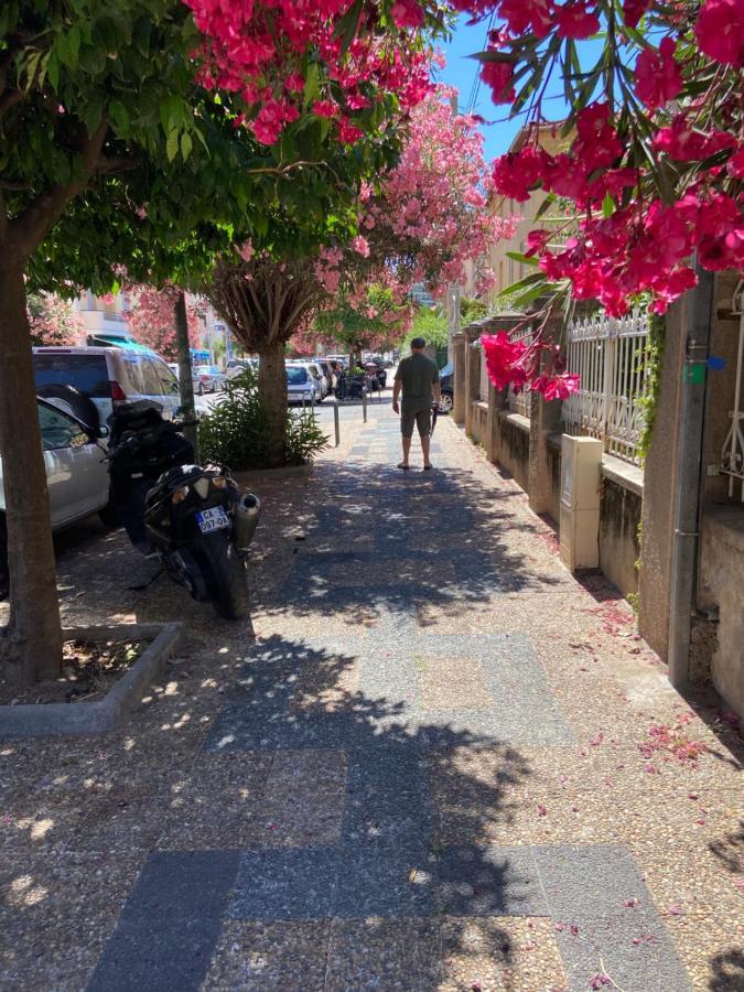 Ajaccio Magnifique T2 Neuf 40M2 Avec Balcon Au Trottel 4 Couchages Wifi Clim Parking Plage A Pieds 100M Buitenkant foto