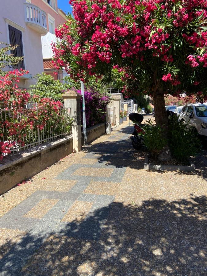 Ajaccio Magnifique T2 Neuf 40M2 Avec Balcon Au Trottel 4 Couchages Wifi Clim Parking Plage A Pieds 100M Buitenkant foto