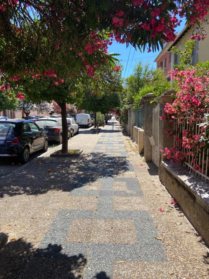 Ajaccio Magnifique T2 Neuf 40M2 Avec Balcon Au Trottel 4 Couchages Wifi Clim Parking Plage A Pieds 100M Buitenkant foto
